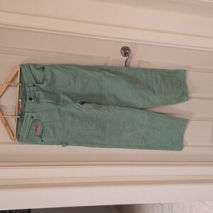 EMPYRE heavy denim mint green, painter style pants. Size 32 waist. 30 in. inseam